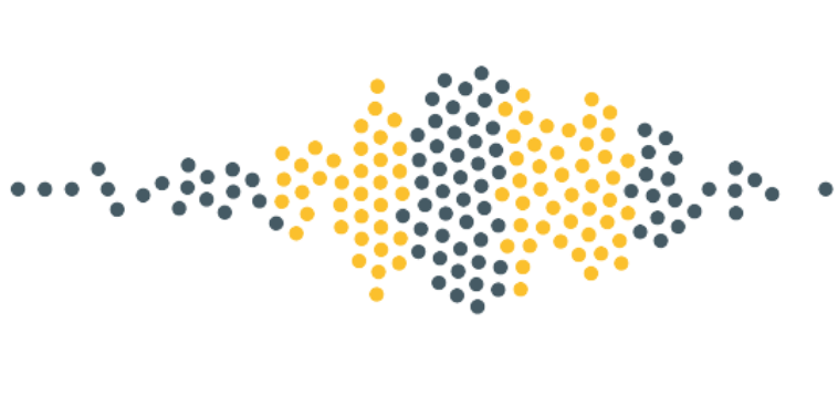 Veriphix | Belief Insights